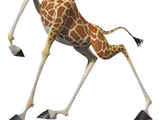 Melman the Giraffe