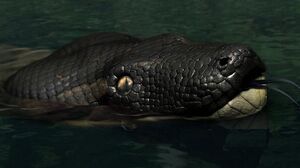 Titanoboa