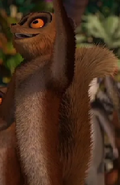 Ted's 1st appearance in Madagascar