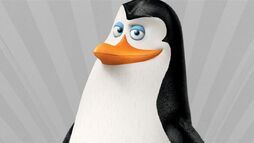 Kowalski hero.jpg