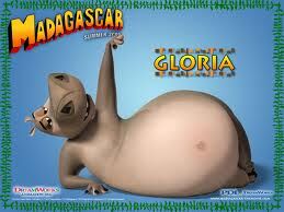 madagascar gloria fart