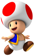 Toad