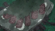 Riko Stone Roast