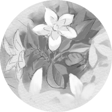 ABYSS FLOWER モノクロ少女の憂鬱 GILDIA Eternal Fortunes | Made in Abyss Wiki | Fandom