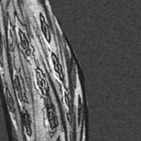 Thousand Men Pins Image Gallery Made In Abyss Wiki Fandom A character from made in abyss. thousand men pins image gallery made