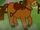 Gallop