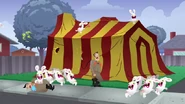 Raving Rabbids Attacking at The Circus