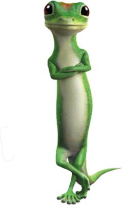 The Gecko | Mad Cartoon Network Wiki | Fandom The Gecko | Mad Cartoon Network Wiki | Fandom