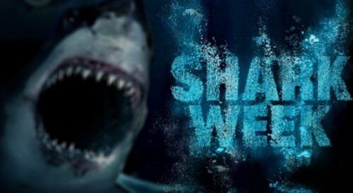 Kidscreen » Archive » Cartoon Network dives into Shark Week with