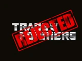 Rejected Transformers