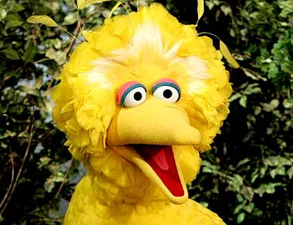What is the Big Bird 