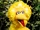Big Bird