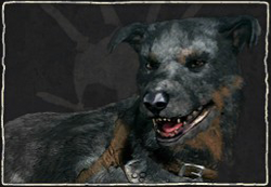 Icon Character 18.png