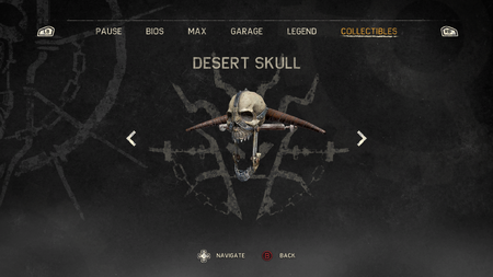 Desert skull
