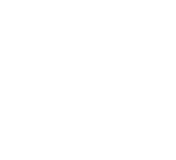 Icon.png