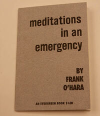 Meditations in an emergency