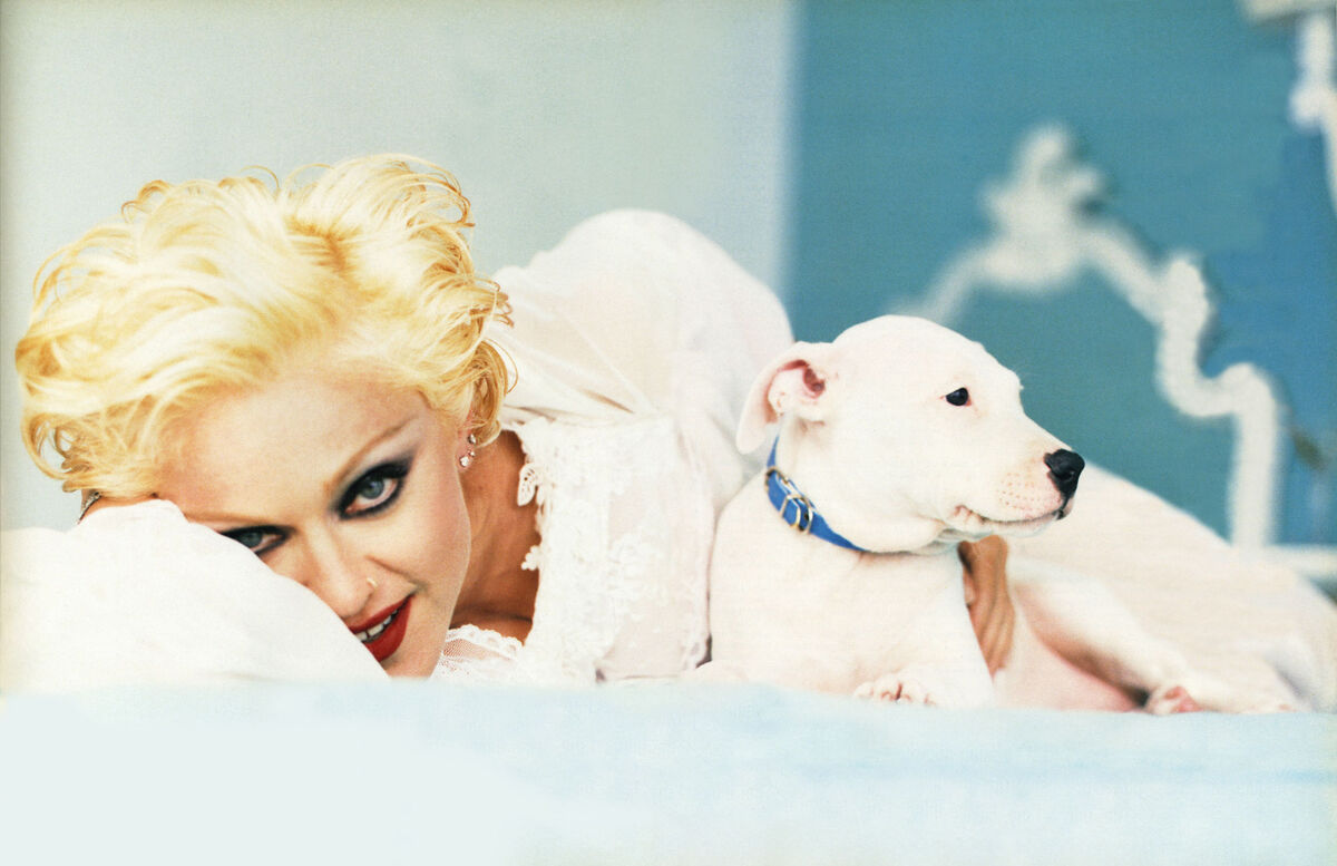 Bedtime Stories (album) | Madonnapedia | Fandom