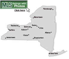 New-york-map2.gif