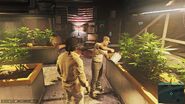 Lincoln in the grow house