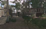 Gator Farm