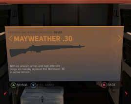 Mayweather .30