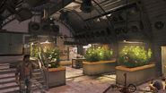 Fully upgraded grow house