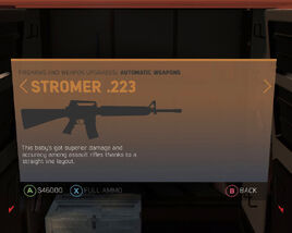 Stromer .223