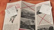 Delray Hollow Brochure