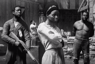 The Haitian Mob