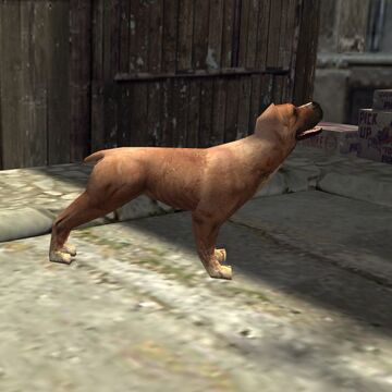 Dogs Mafia Wiki Fandom