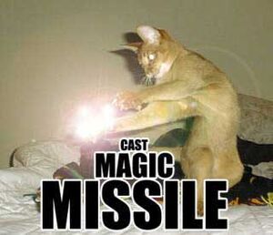 Magic-missile-cat