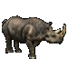 Item Rhinoceros 01