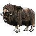 Item MuskOx 01