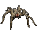 Item desertspider 01