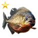 Item redpiranhagold 01
