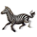Item zebra 01