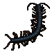 Item thaigiantcentipedes 01