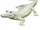 Albino Alligator