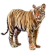 Item jtiger 01