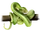 Green Tree Python
