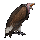Thumb Item vulture 01