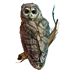 Item nightowl 01