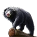 Item slothbear 01
