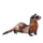 Item black-footedferret 02