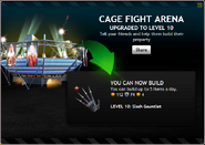 CageFightArenaLevel10