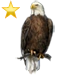 Item baldeaglegold 02