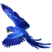 Item hyacinthmacaw 01