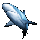Thumb Item reefshark 01