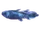 Coelacanth