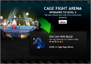 CageFightArenaLevel4